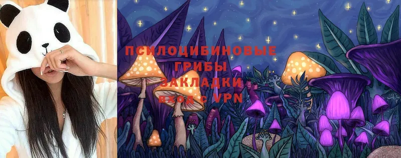 наркошоп  Гудермес  Псилоцибиновые грибы MAGIC MUSHROOMS 