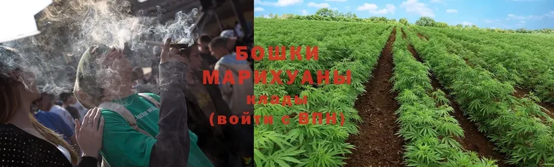 Шишки марихуана THC 21%  даркнет сайт  Гудермес 